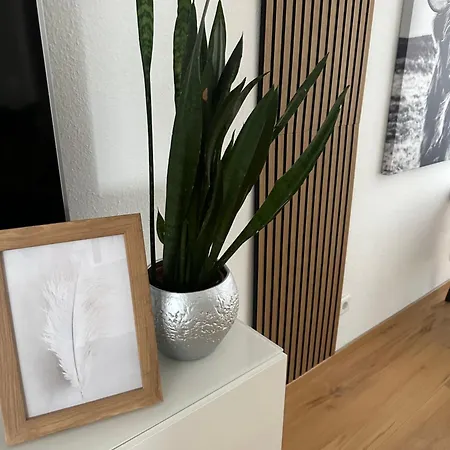 Sauerland - Traum Будинок відпочинку Вінтерберг