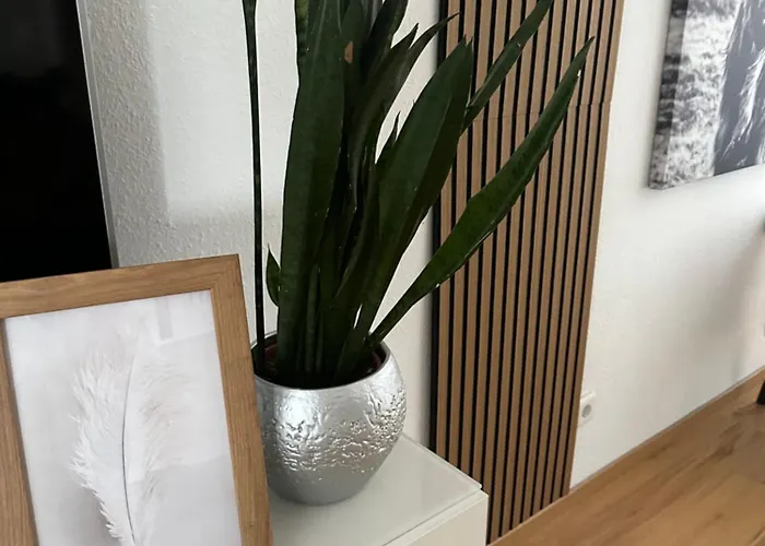 Sauerland - Traum 펜션 빈터베르크